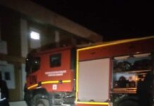 Kouto : les sapeurs pompiers chassent les abeilles de la ville