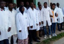 Les infirmiers auront bientôt leur Ordre comme les médecins