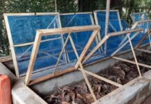 Bouaké / Autonomisation: Des jeunes choisissent l’élevage d’escargots pour être indépendants financièrement