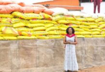 Diabo : 162 productrices de riz bénéficient d’un appui