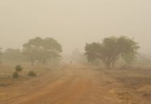 Santé: L’harmattan s’installe …les maladies et les feux de brousse aussi