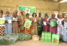 Diabo : 15 coopératives agricoles féminines reçoivent des kits maraîchers et des semences